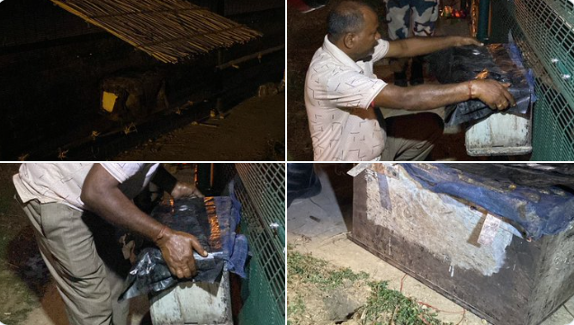 Ấn Độ triển khai chiến binh ong dọc biên giới với Bangladesh - Ảnh 1.