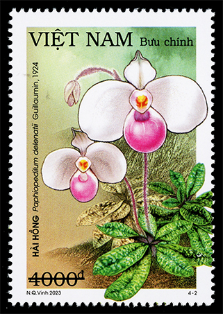 Phát hành bộ tem về các loài lan hài Việt Nam - Ảnh 2. Phát hành bộ tem về các loài lan hài Việt Nam - Ảnh 2.