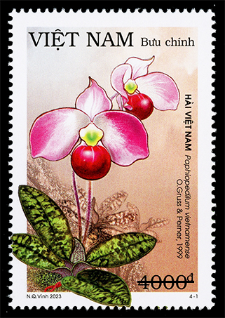 Phát hành bộ tem về các loài lan hài Việt Nam - Ảnh 1. Phát hành bộ tem về các loài lan hài Việt Nam - Ảnh 1.