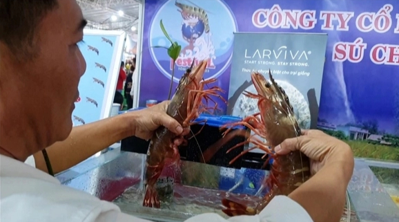 Tôm sú khủng tại Festival Tôm Cà Mau - Ảnh 1.
