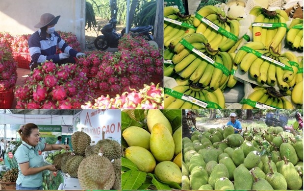 Thúc đẩy thương mại hai chiều Việt Nam và Trung Quốc - Ảnh 1. Thúc đẩy thương mại hai chiều Việt Nam và Trung Quốc - Ảnh 1.