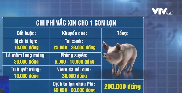 Làm sao để các hộ chăn nuôi tiếp cận được vaccine dịch tả lợn châu Phi? - Ảnh 2.