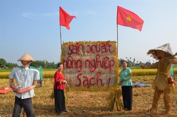 Sôi nổi Lễ hội Ngày mùa - Tinh hoa lúa nước ở Quảng Ngãi - Ảnh 2.