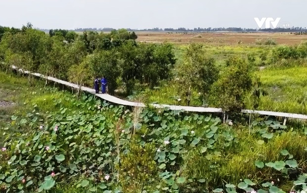 Trải nghiệm du lịch sinh thái thuận thiên - Ảnh 1.