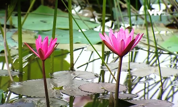 Trải nghiệm du lịch sinh thái thuận thiên - Ảnh 4.