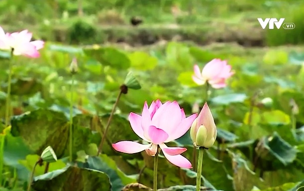 Trải nghiệm du lịch sinh thái thuận thiên - Ảnh 5.