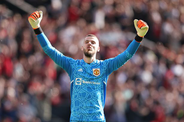 De Gea giành danh hiệu Găng tay vàng của Ngoại hạng Anh - Ảnh 2.