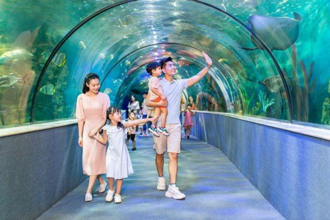 VinWonders tưng bừng khởi động lễ hội hè Wonder Summer 2023 - Ảnh 13.