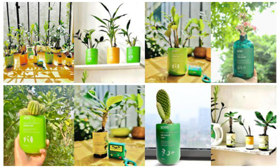 Cỏ Cây Hoa Lá - Thương hiệu sản phẩm thiên nhiên hữu cơ Việt trao đi những điều tận tậm và tử tế - Ảnh 5.