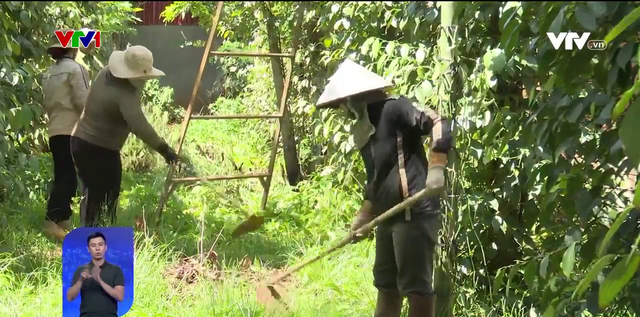 Bình yên trở lại buôn làng Đắk Lắk - Ảnh 1.