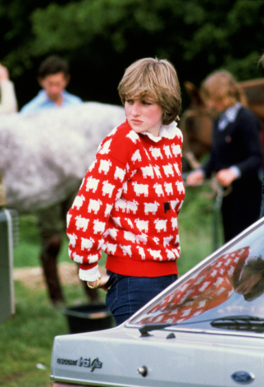 Áo len của cố công nương Diana được mang bán đấu giá - Ảnh 1.