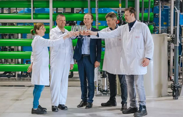 Bỉ: Chưng cất nước uống  từ tiết lợn - Ảnh 1.