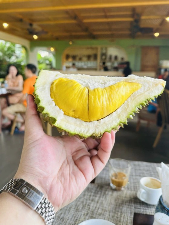 Sầu ri&ecirc;ng ngon nhất thế giới bất ngờ được trồng tại S&ocirc;ng Hinh - Ph&uacute; Y&ecirc;n - Ảnh 1.