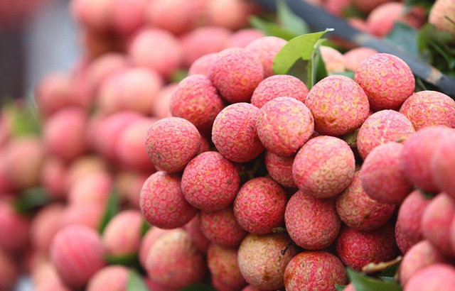 Vải thiều Việt Nam có giá hơn 400.000 đồng/kg tại Anh | VTV.VN