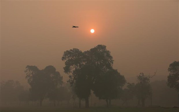 Indonesia phòng ngừa khói mù lan ra khu vực do El Nino - Ảnh 1.