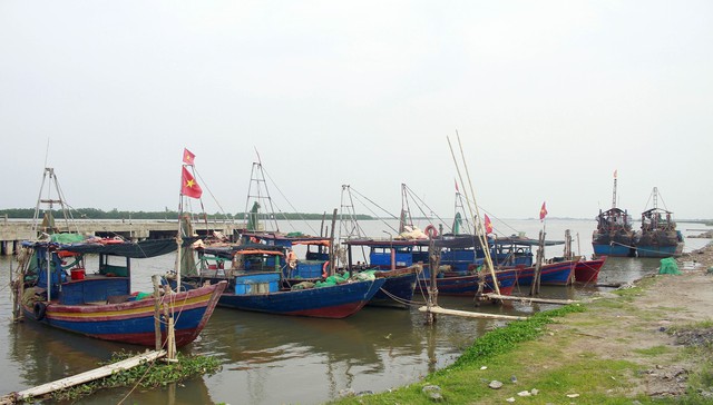 undefined - Ảnh 1. undefined - Ảnh 1.