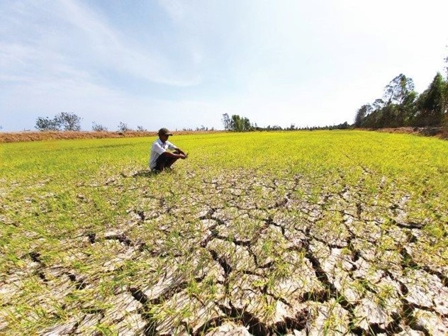 El Nino có thể khiến kinh tế toàn cầu bay hơi hàng nghìn tỷ USD - Ảnh 1.