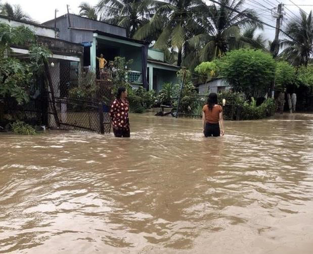 An Giang: 413 ha lúa, hoa màu của người dân bị ngập úng do mưa lớn - Ảnh 1.