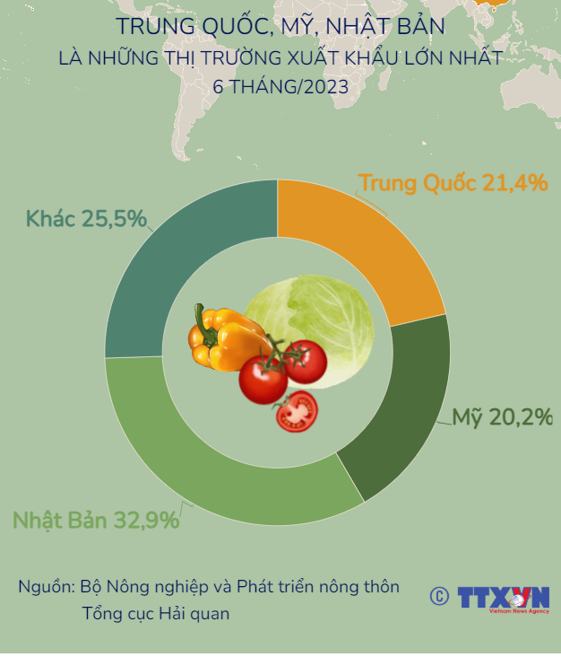 [INFOGRAPHIC] 6 tháng đầu năm 2023, xuất khẩu rau quả gần bằng cả năm 2022 - Ảnh 2.