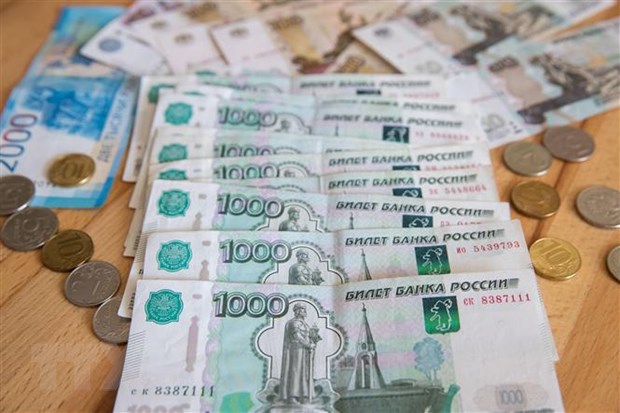 Nga bắt đầu thử nghiệm đồng ruble kỹ thuật số - Ảnh 1.