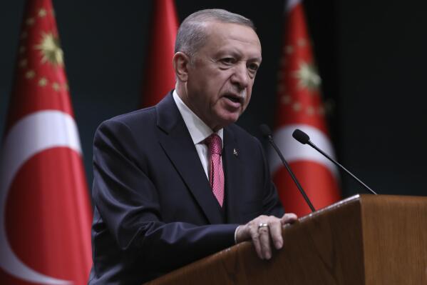 Thổ Nhĩ Kỳ phản đối khả năng can thiệp quân sự đối với Niger - Ảnh 1.