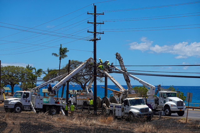 Công ty điện lực Hawaii phản đối đơn kiện gây ra cháy rừng - Ảnh 1.