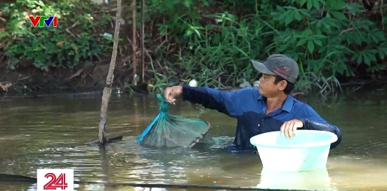 Cặp lá yêu thương: Rổ cá của ba - Ảnh 3.