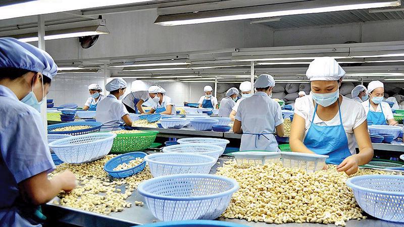 Xuất khẩu rau quả giảm lần đầu sau hai năm - Ảnh 2.
