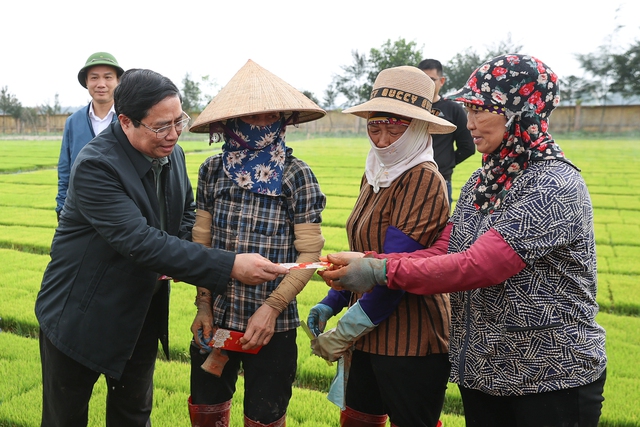 Thủ tướng xuống đồng cấy hái cùng nông dân, động viên sản xuất nông nghiệp - Ảnh 3.