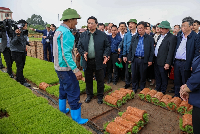 Thủ tướng xuống đồng cấy hái cùng nông dân, động viên sản xuất nông nghiệp - Ảnh 2.