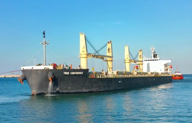 Phối hợp đưa thuyền viên gặp nạn từ Djibouti về Việt Nam - Ảnh 1.