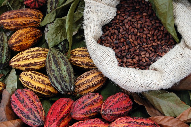 Cú bật nhảy của giá cacao và cà phê - Ảnh 1.