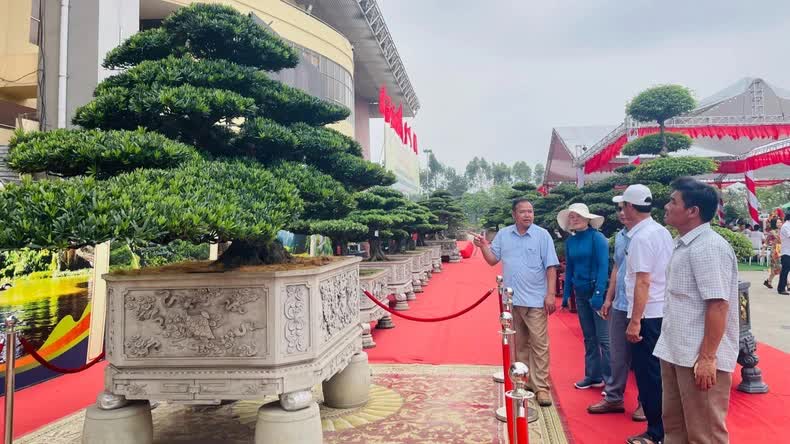 The exhibition attracts large numbers of locals and tourists.