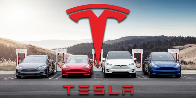 Nơi sản xuất tiềm năng cho Tesla ở châu Á - Ảnh 1.