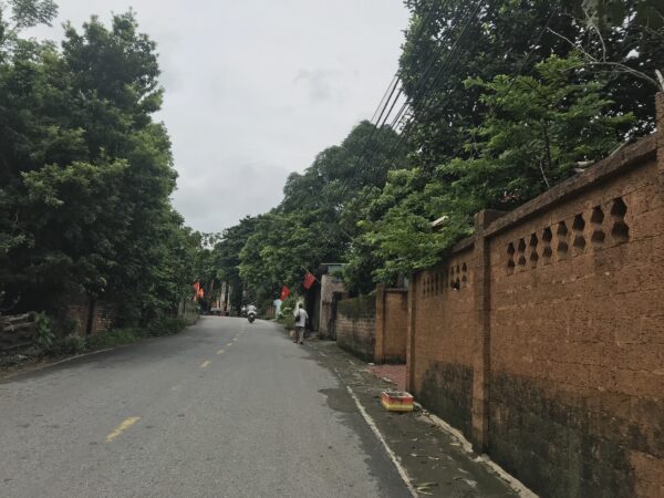 Trải nghiệm làm nông dân ở Đường Lâm ngày càng thu hút du khách - Ảnh 2.