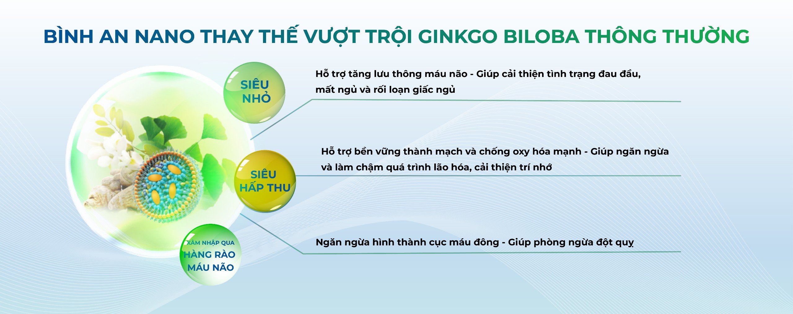 Giáo sư Nano & chất dẫn bí mật - Lời giải cho tình trạng thiếu máu não - Ảnh 11.