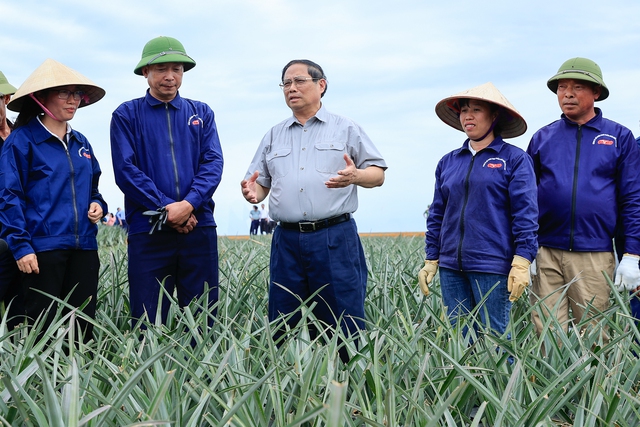 Thủ tướng thăm mô hình kinh tế nông nghiệp, công trình trọng điểm tại Ninh Bình - Ảnh 1.