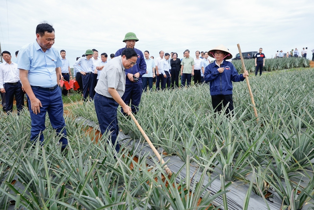Thủ tướng thăm mô hình kinh tế nông nghiệp, công trình trọng điểm tại Ninh Bình - Ảnh 2.