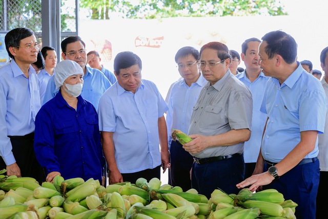 Thủ tướng thăm mô hình kinh tế nông nghiệp, công trình trọng điểm tại Ninh Bình - Ảnh 3.