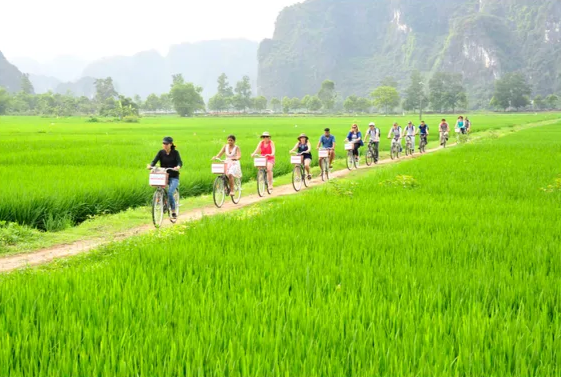 Ninh Bình vào Top 10 trải nghiệm cuốn hút nhất thế giới năm 2024 - Ảnh 4.