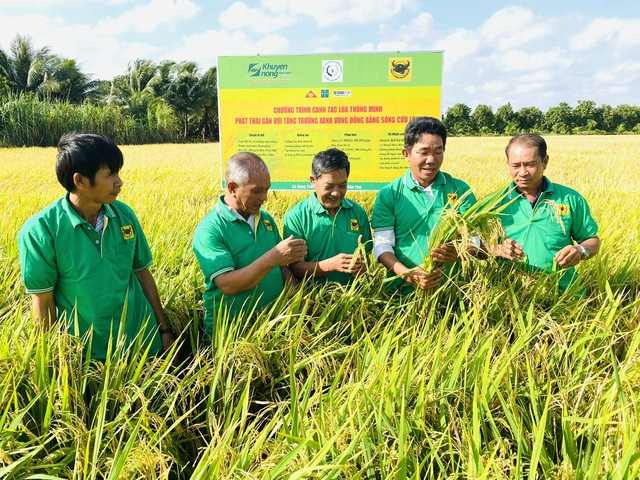 Trồng lúa giảm phát thải, nông dân trúng đậm - Ảnh 2.