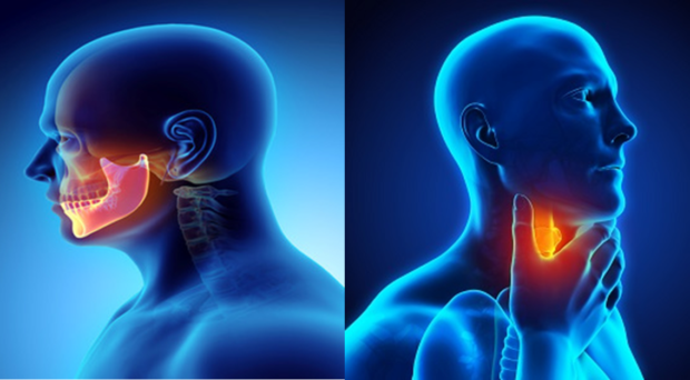 Phát hiện đột phá cho thấy vi khuẩn trong miệng có thể tiêu diệt khối u ung thư - Ảnh 1.