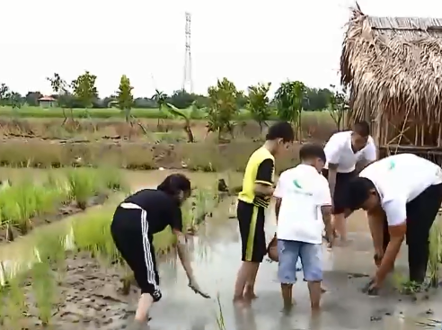 Dạy trẻ em làm nông - Ảnh 1.