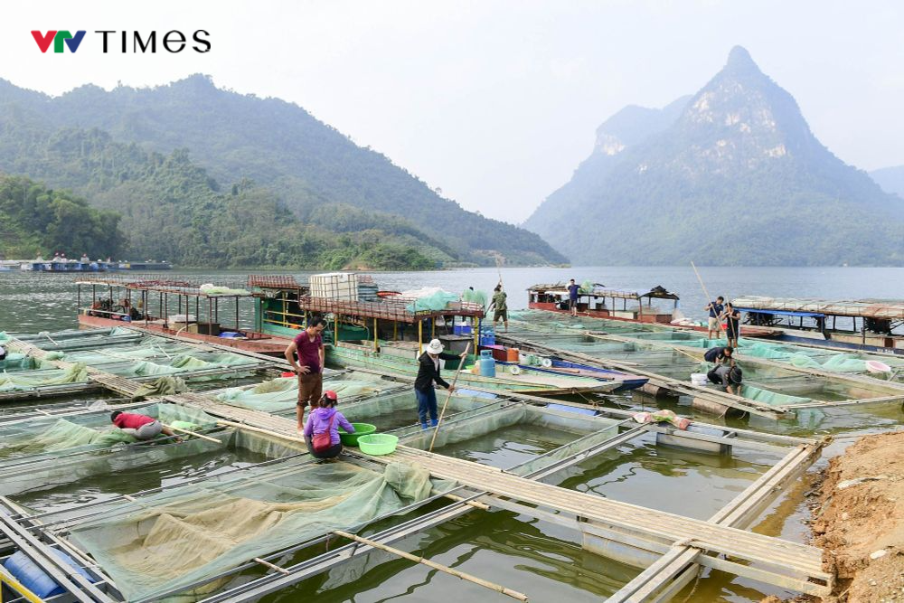 Tuyên Quang: Thu phí tham quan khu bảo tồn thiên nhiên Na Hang - Lâm Bình - Ảnh 1.