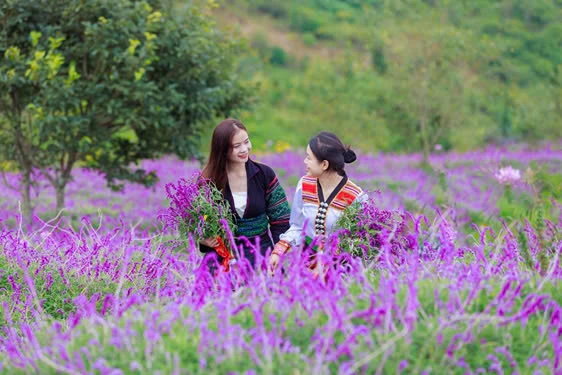 Foreign magazine marvel at enchanting palette of Sa Pa’s autumn - Ảnh 2.