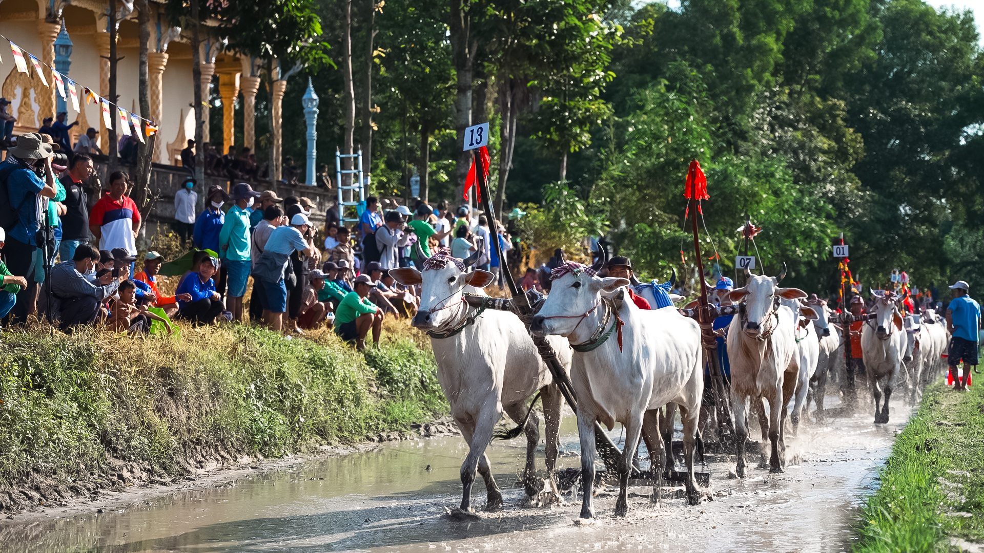 Đua bò Chùa Rô - Nơi giao thoa giữa truyền thống và đam mê - Ảnh 8.