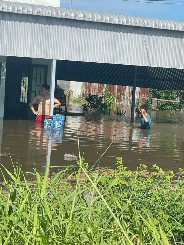 Bình Thuận ngập nặng 230 hộ dân và hàng trăm hecta thanh long - Ảnh 1.