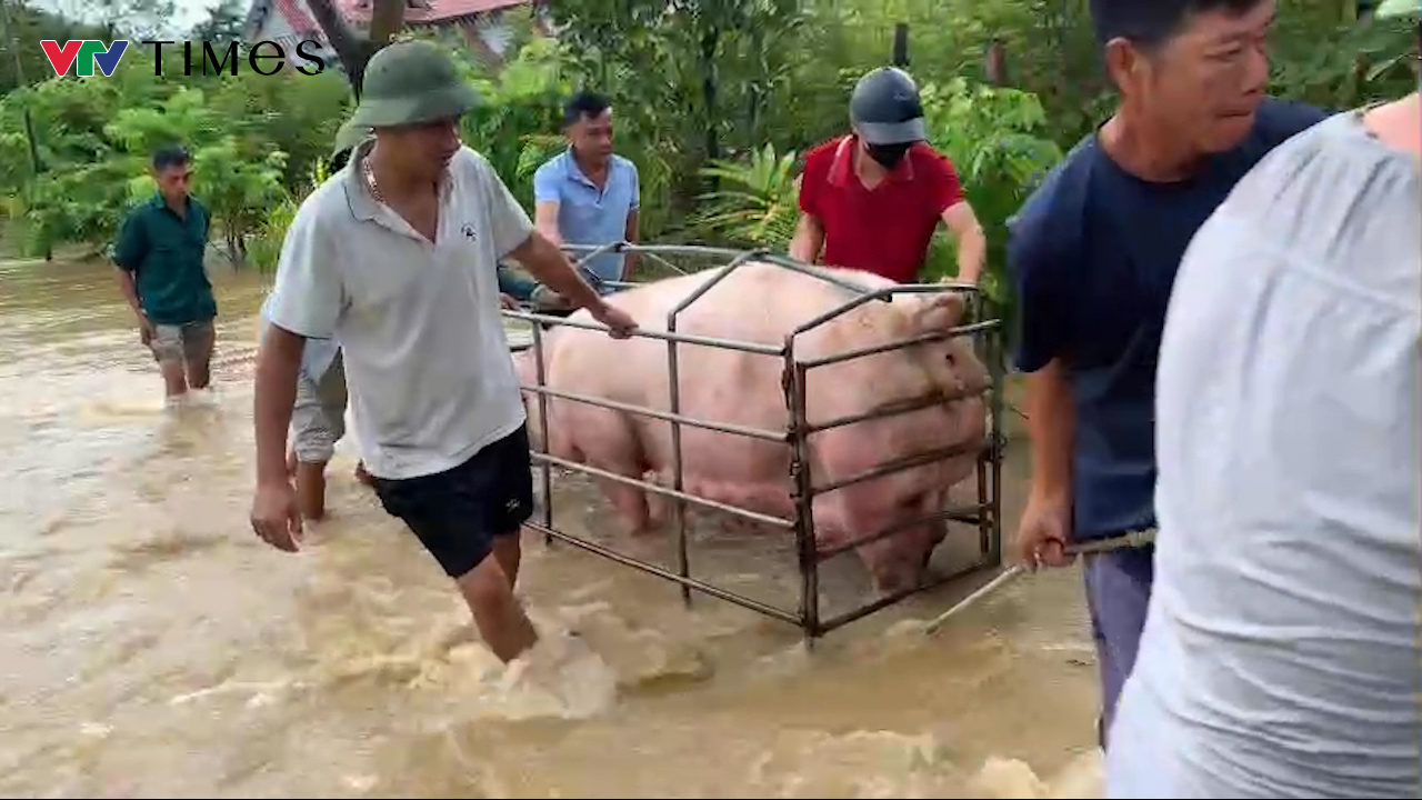 Toàn cảnh hiện trường vỡ đê sông Lô tại Tuyên Quang - Ảnh 6.