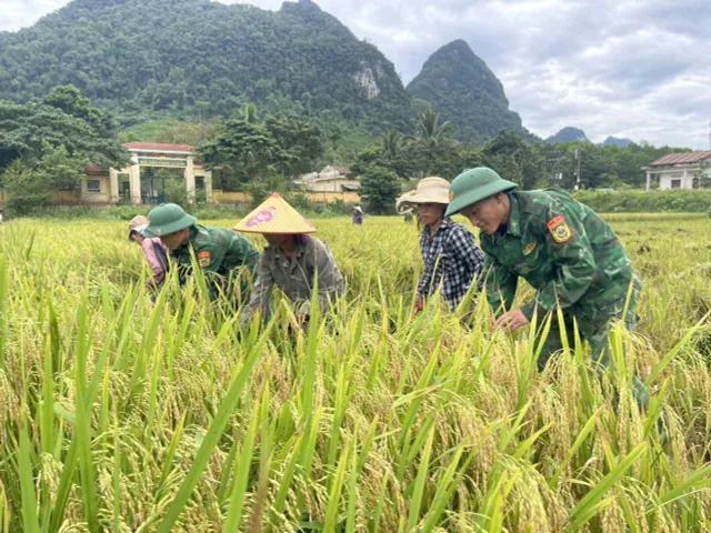 Bộ đội biên phòng gặt lúa chạy lũ cho đồng bào biên giới - Ảnh 1.