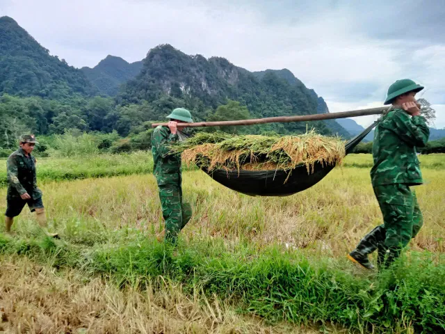 Bộ đội biên phòng gặt lúa chạy lũ cho đồng bào biên giới - Ảnh 4.